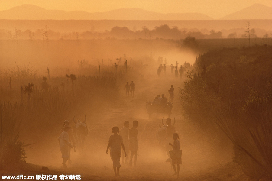 Lost in sandstorms