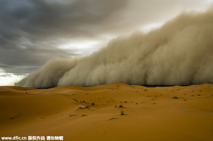 Lost in sandstorms