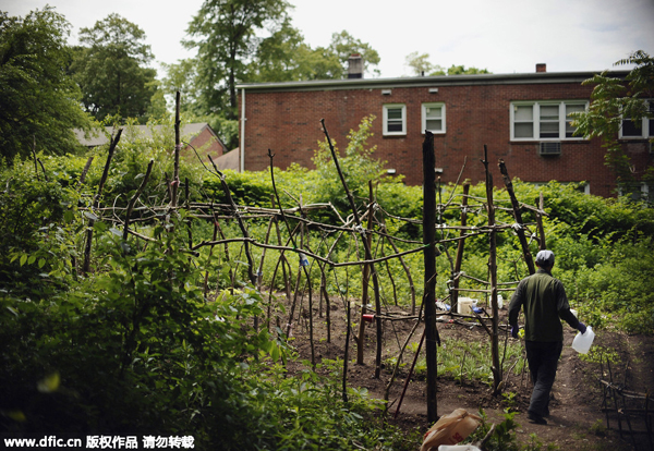 Chinese families of Yale students grow a garden, tradition