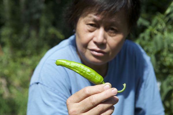Seniors create little corner of China in garden
