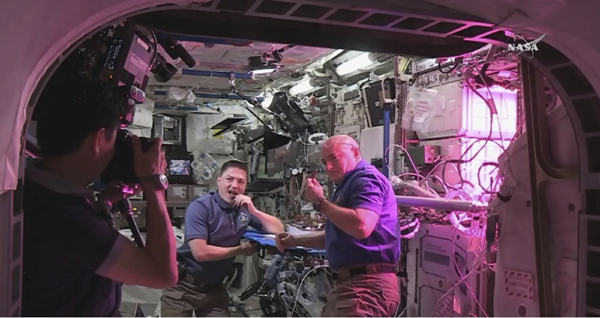 ISS astronauts get first taste of space-grown vegetables