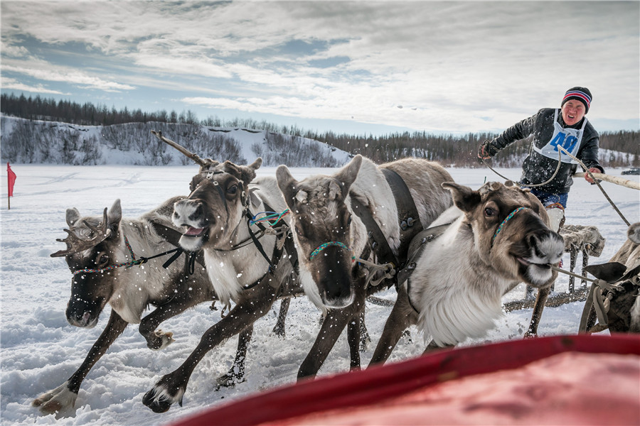 Reindeer Herders Day celebrated in northern Russia