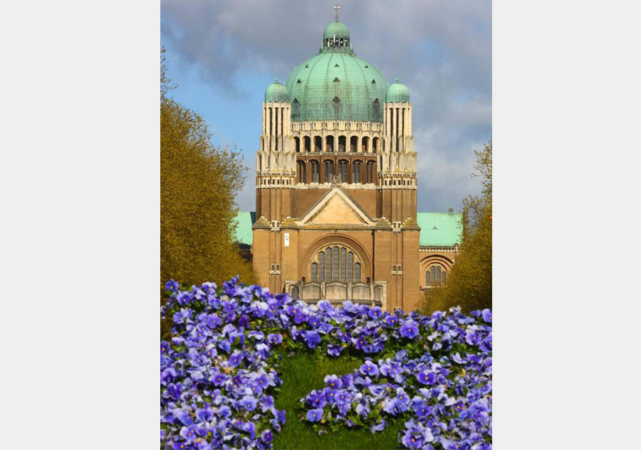 Flowers in full bloom in Brussels, Belgium