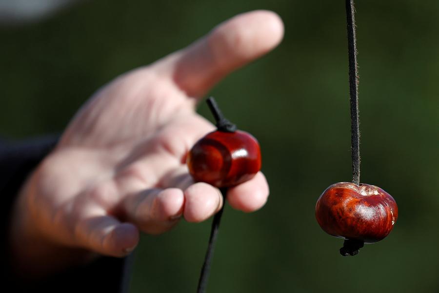 World Conker Championships kicks off in England