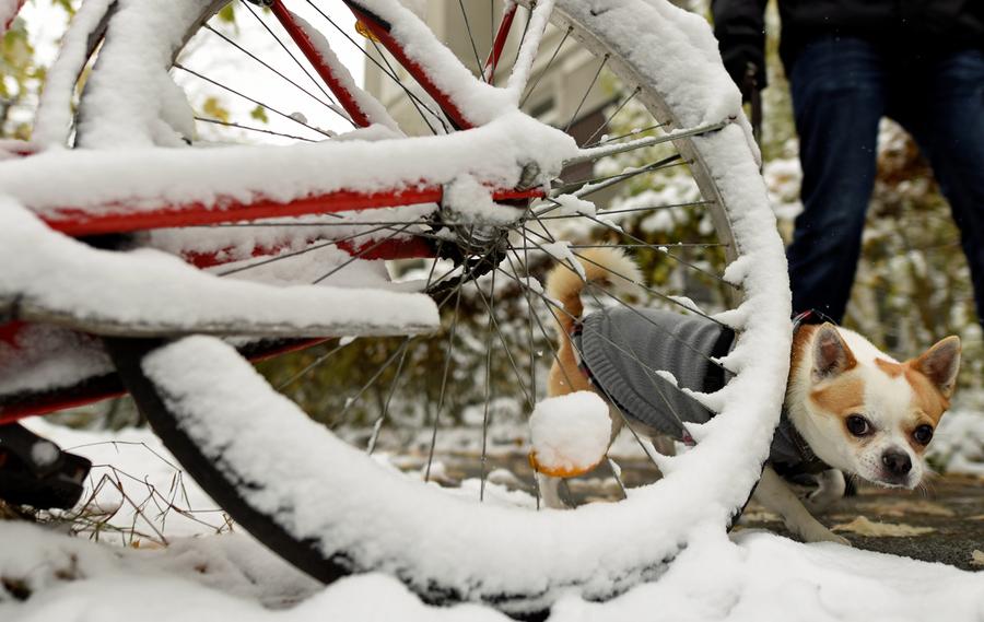 First snow in Hamburg