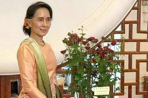 Yunnan institute develops rose hybrid to honor Aung San Suu Kyi