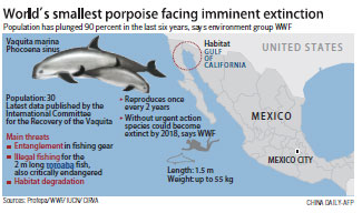 Vaquita porpoise could be extinct by 2018: WWF