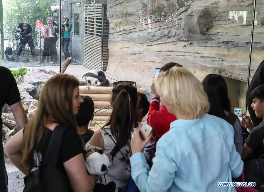 People visit pandas from SW China at Zoo Berlin
