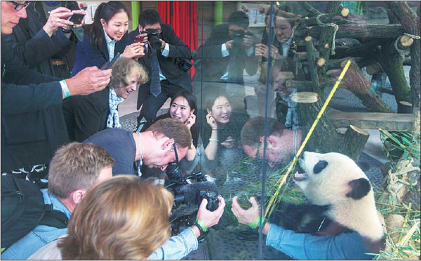 Events mark debut of two Chinese pandas in Berlin