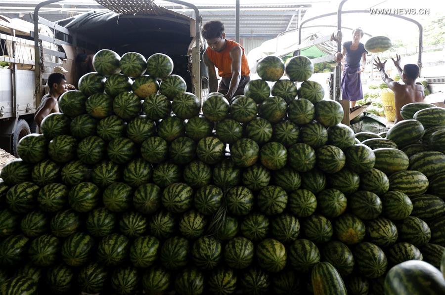 Myanmar exports about 95 percent of fruits to China