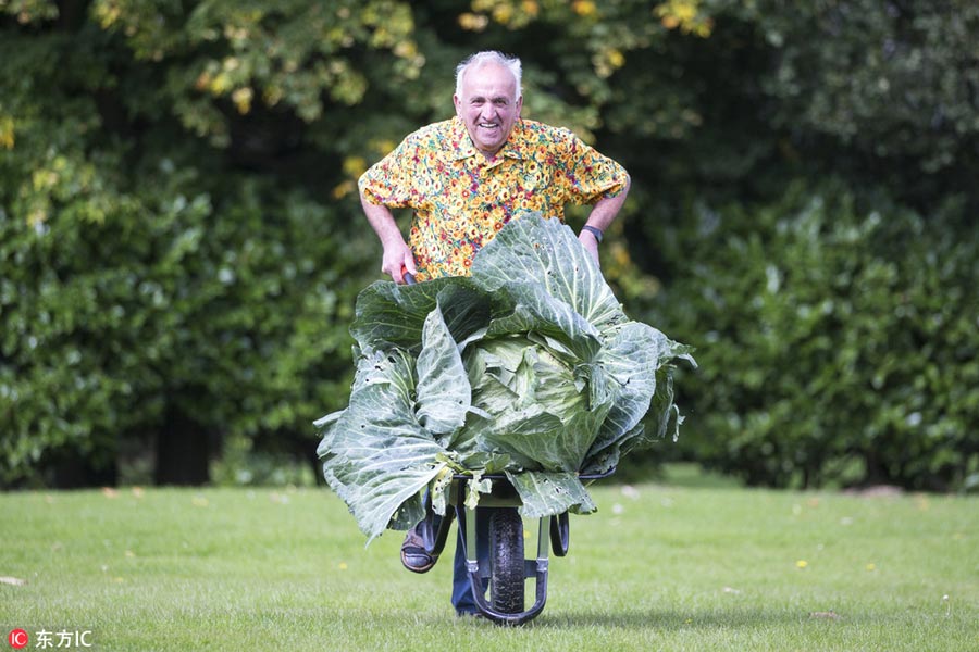 Giant vegetables win their prizes at Harrogate Autumn Flower Show