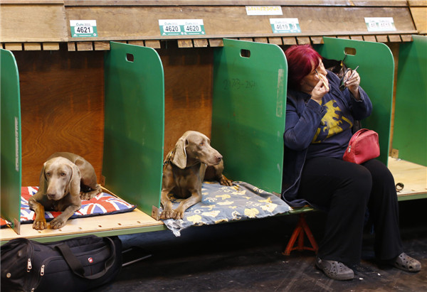 Crufts dog show kicks off in Birmingham, England