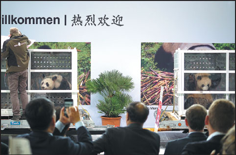 Xi to join Merkel for panda debut
