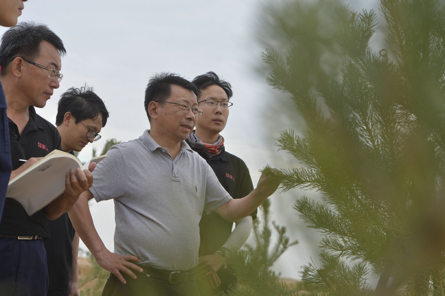 How Plants Survive In The Ulanbuh Sand 2 Chinadaily cn