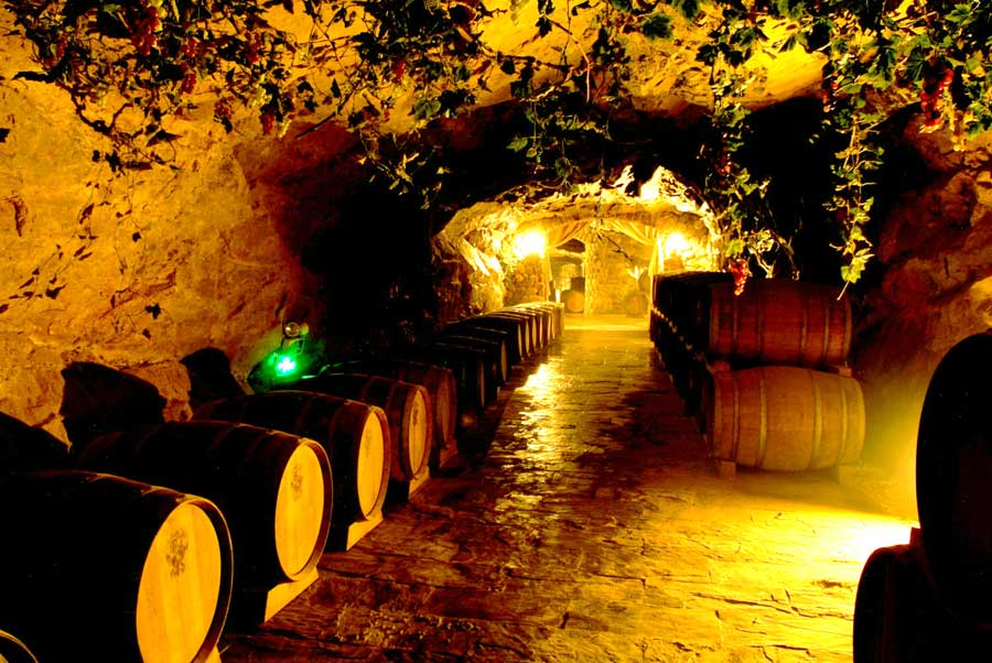 China' first wine cellar opens in Changli county