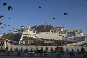 Lhasa to invest 1b yuan to plant trees