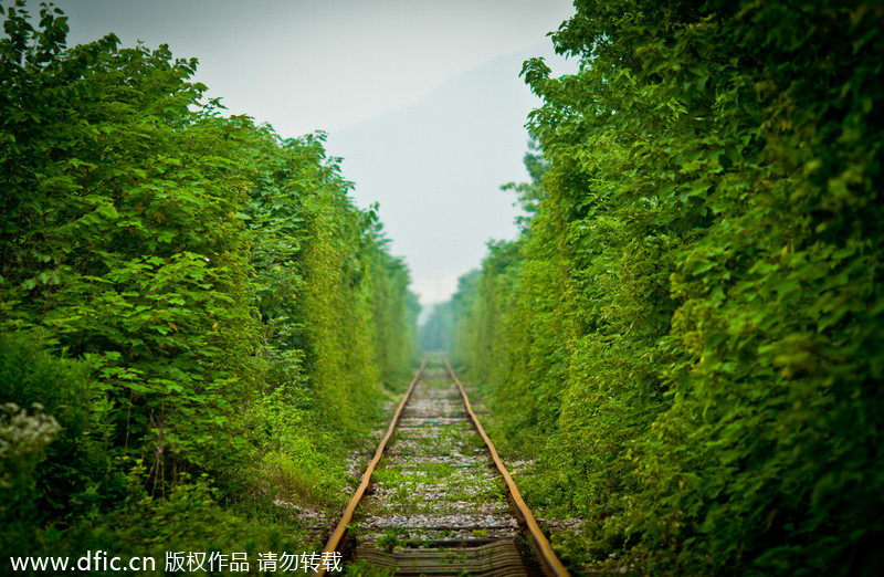 'Most naturally beautiful' railroad