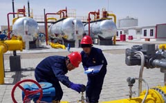 China's demand for overseas crude to expand this year