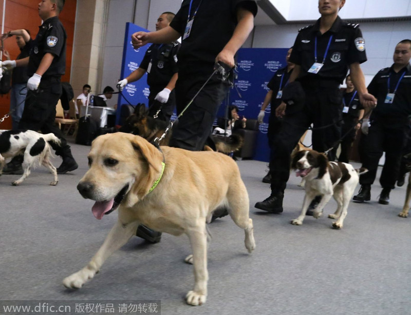 Patrol dogs ready for Davos security inspection