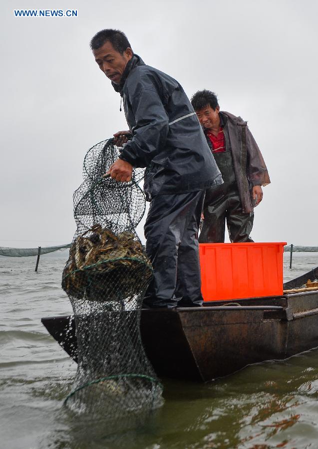 Crab harvest in Yangcheng Lake