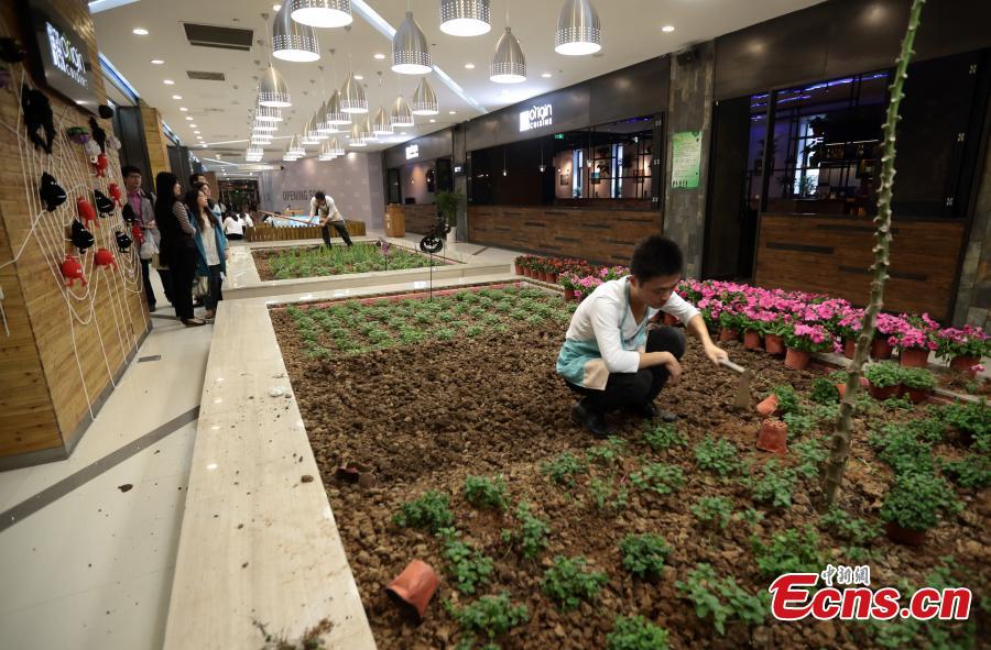 Shopping mall develops farmland to promote green lifestyle