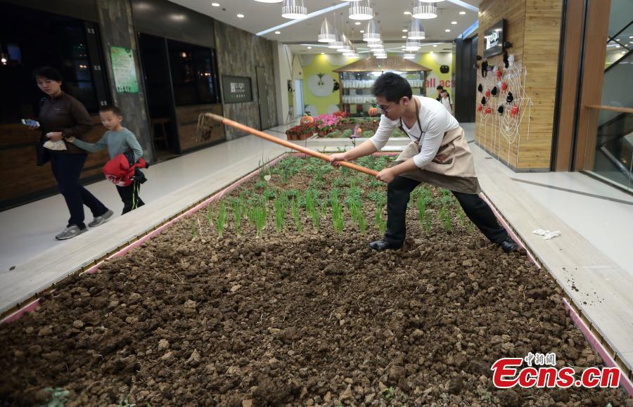 Shopping mall develops farmland to promote green lifestyle