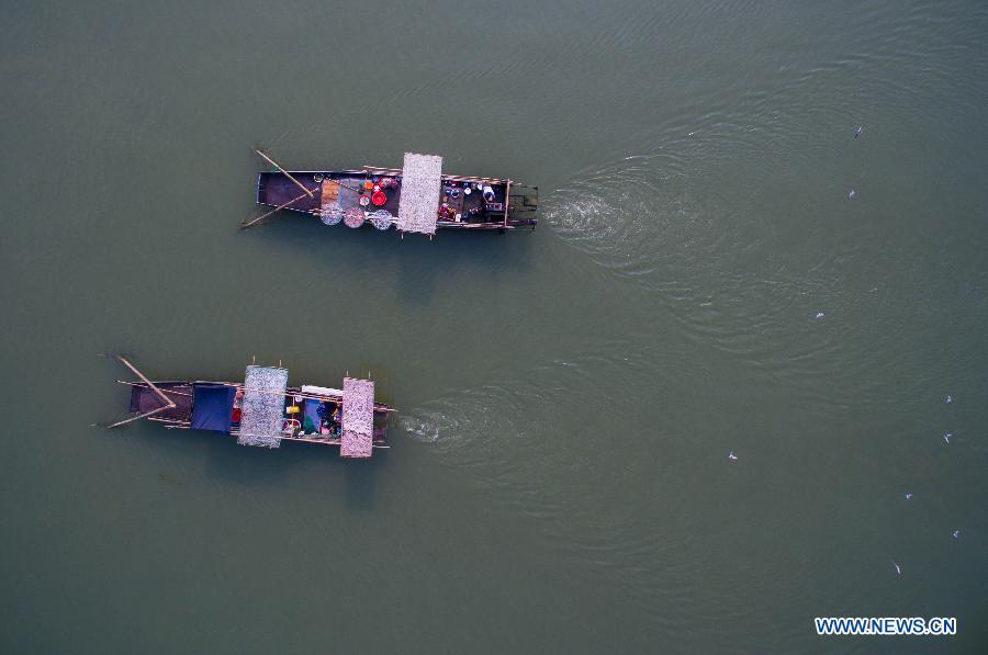 Fishing season of Taihu Lake begins