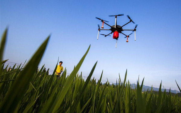 Shenzhen to become global driver of civilian drones
