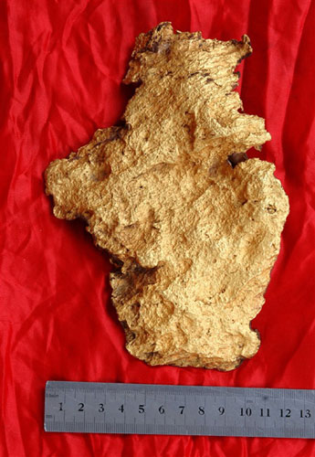 Giant gold nugget found in Xinjiang