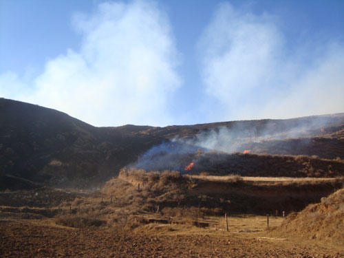Grassland fire kills 22 in Southwest China