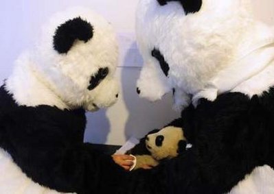 Researchers dress up to save pandas