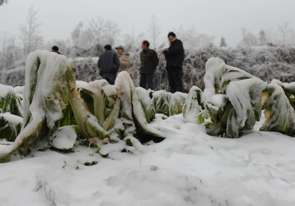 Cold snap sweeps China, traffic at a standstill