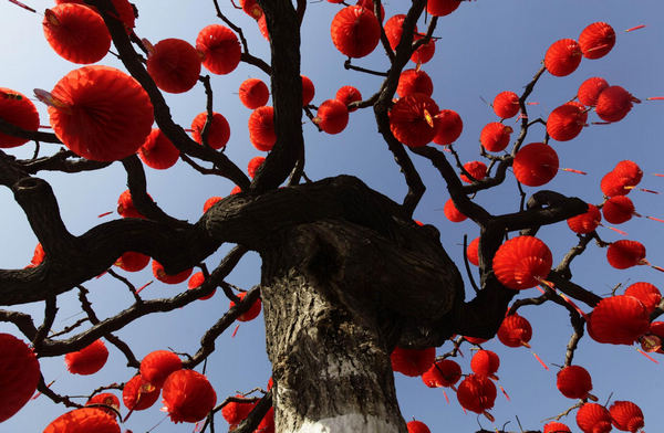 Trees decorated in red to greet Chinese New Year