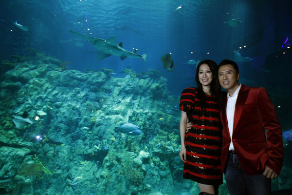 Giant aquarium opens in Hong Kong