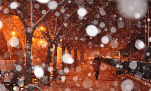 Beijing embraces third snowfall within a month