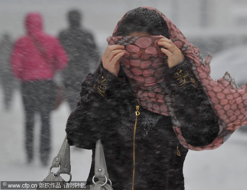 Snowstorm hits NW China's Xinjiang