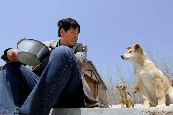 Sick man helps stray dogs in E China