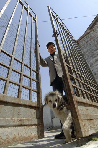 Sick man helps stray dogs in E China