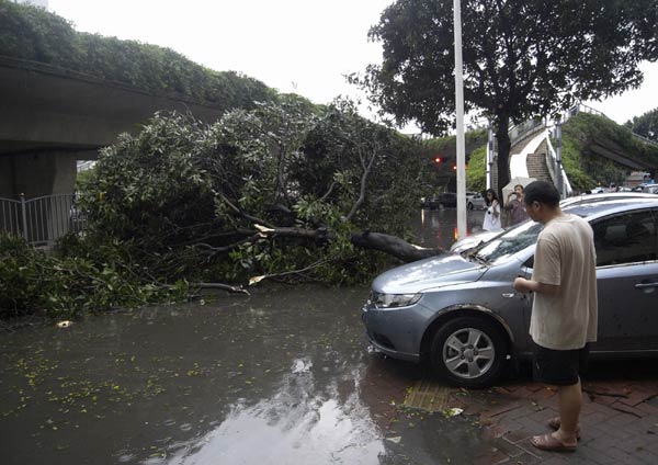 17 killed, 155 injured in S China hailstorm