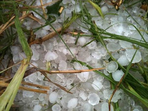Hailstones, thundershower kill 12 in South China
