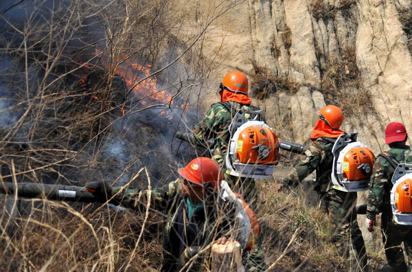 Mountain fire rekindled in E China