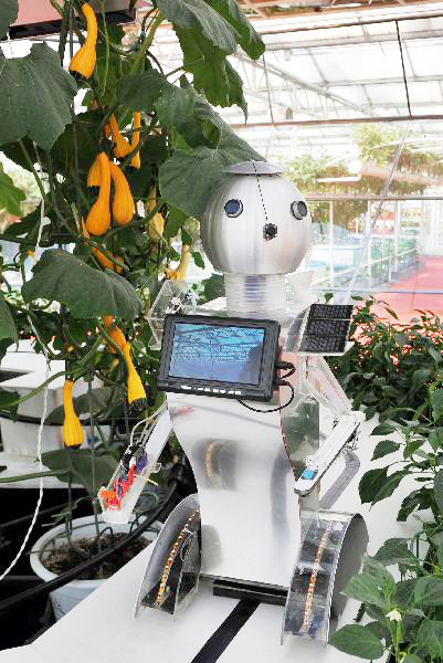 Robot helps manage greenhouse in E China