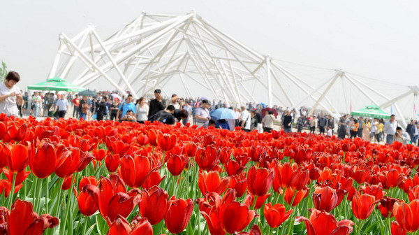 Horticultural Expo blooms in Xi'an