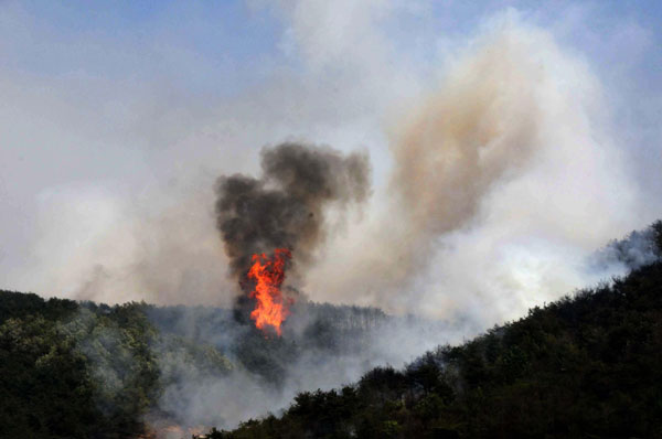 Forest fire breaks out in NE China