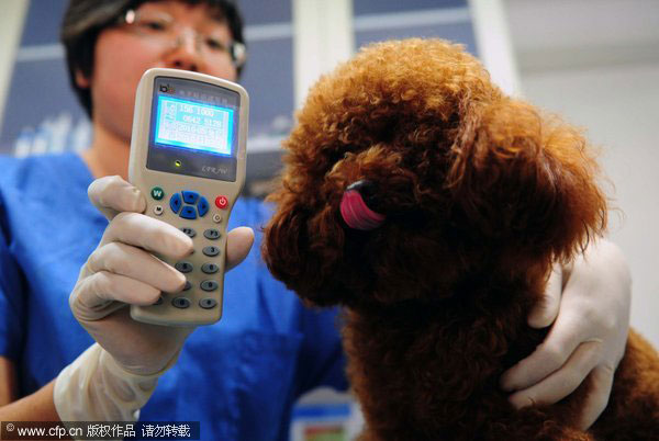 Microchips give dogs new ID in S China