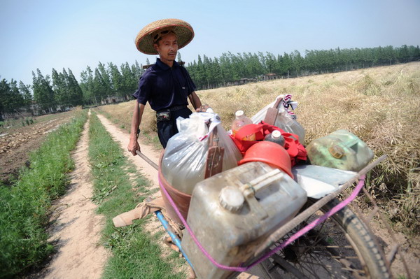 China's major rice-growing areas suffering drought