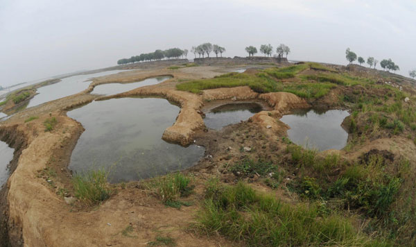 Wetlands becoming dry grassland