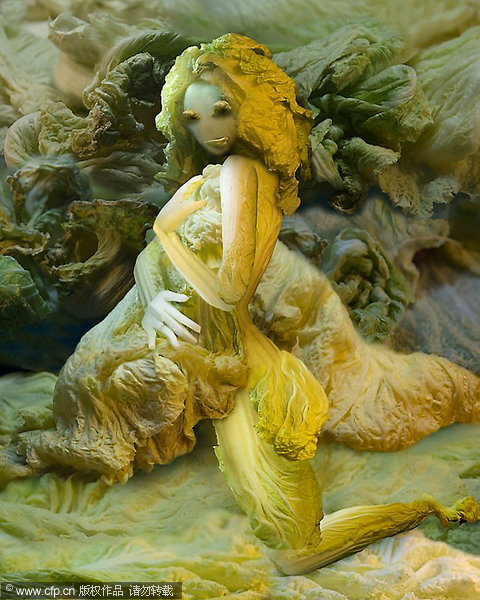 'The Fantasies of Chinese Cabbage'