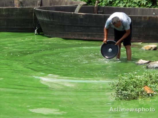 Chaohu Lake sees large algae expansion