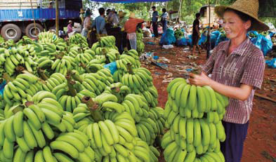 Netizens bunch together to help banana growers